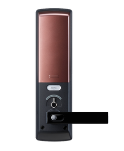 Samsung SHP-DH538 Biometric Fingerprint Digital Door Lock - HDVideoDepot